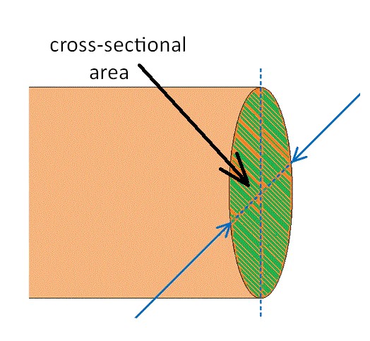 cross-sectional area
